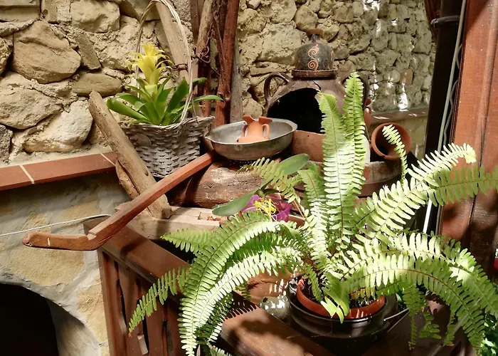 Kristi Homestay *